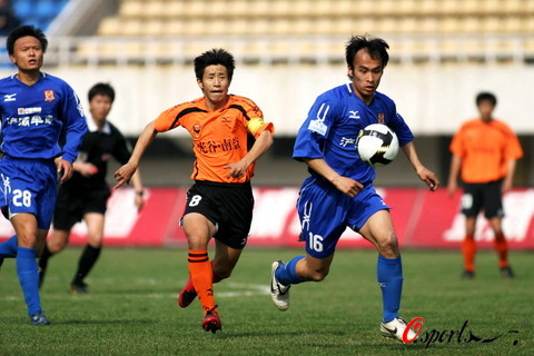 协同性显得 协同性显得