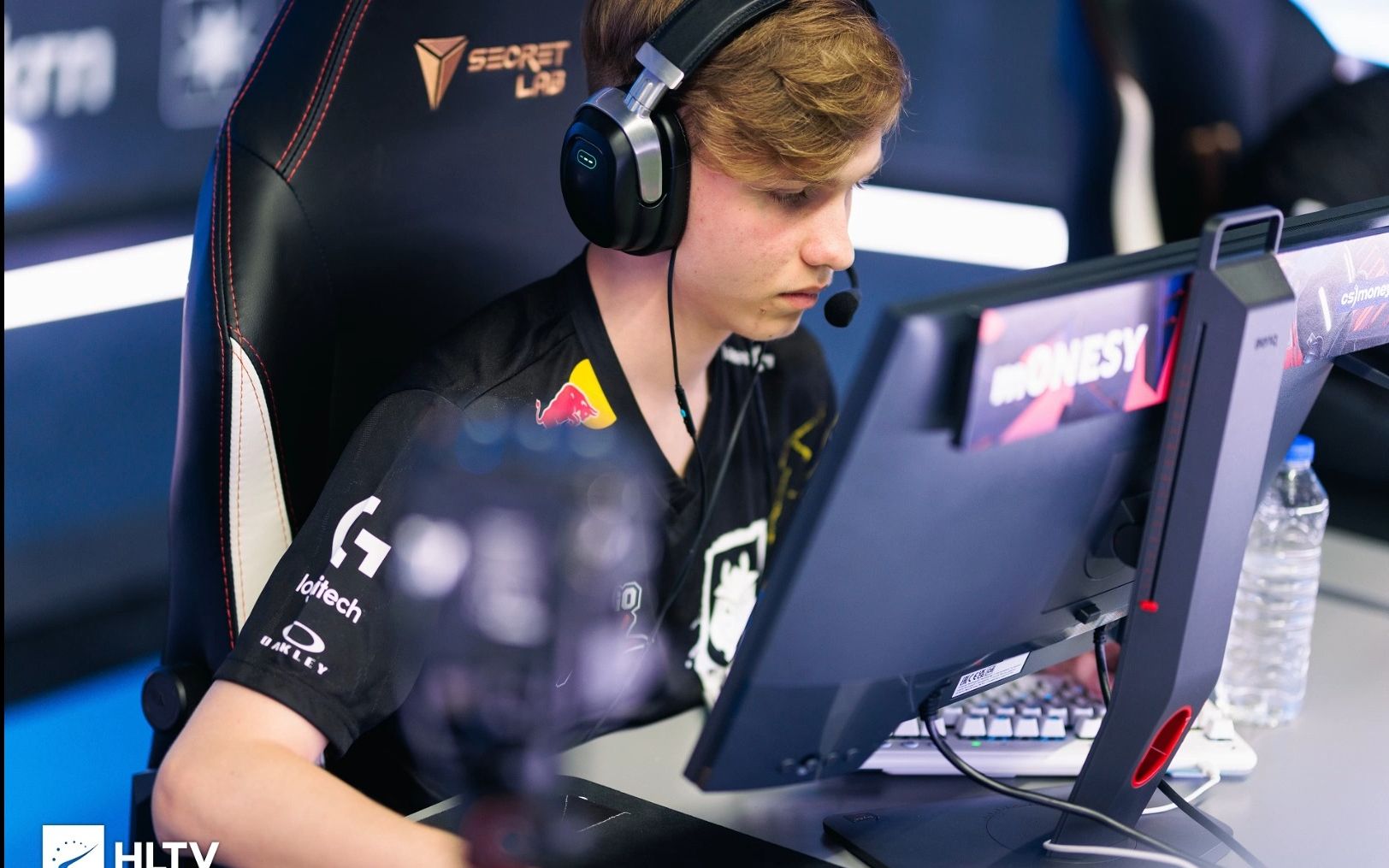 球迷与运动 球迷与运动