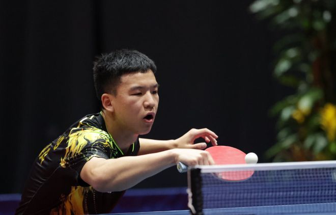 尼克斯的进